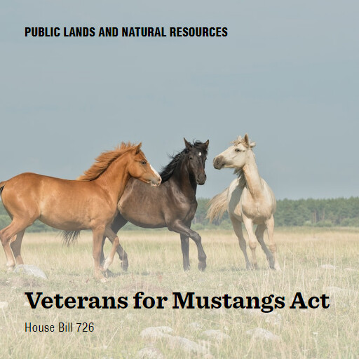 H.R.726 118 Veterans for Mustangs Act (2)